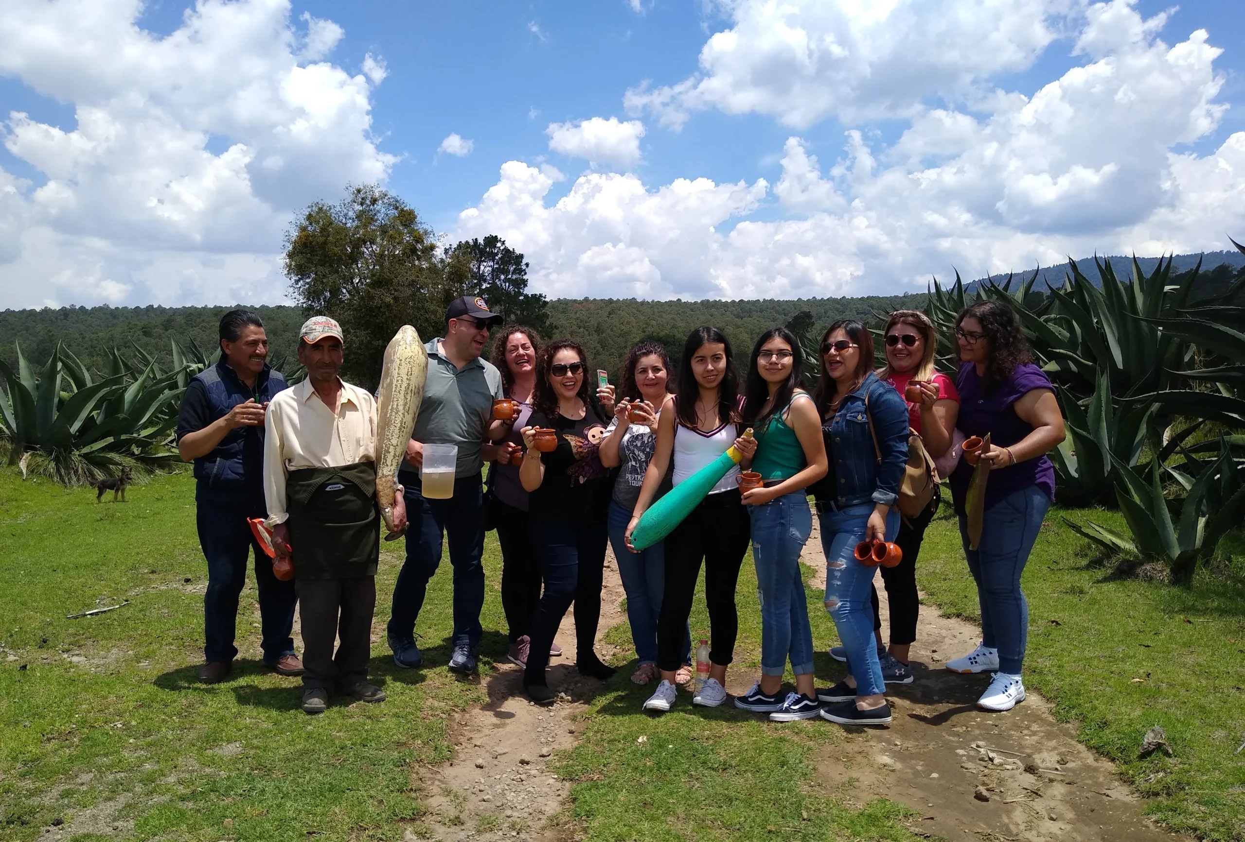 img 20190704 141413547 (1)