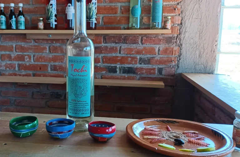 img 20231105 134502207