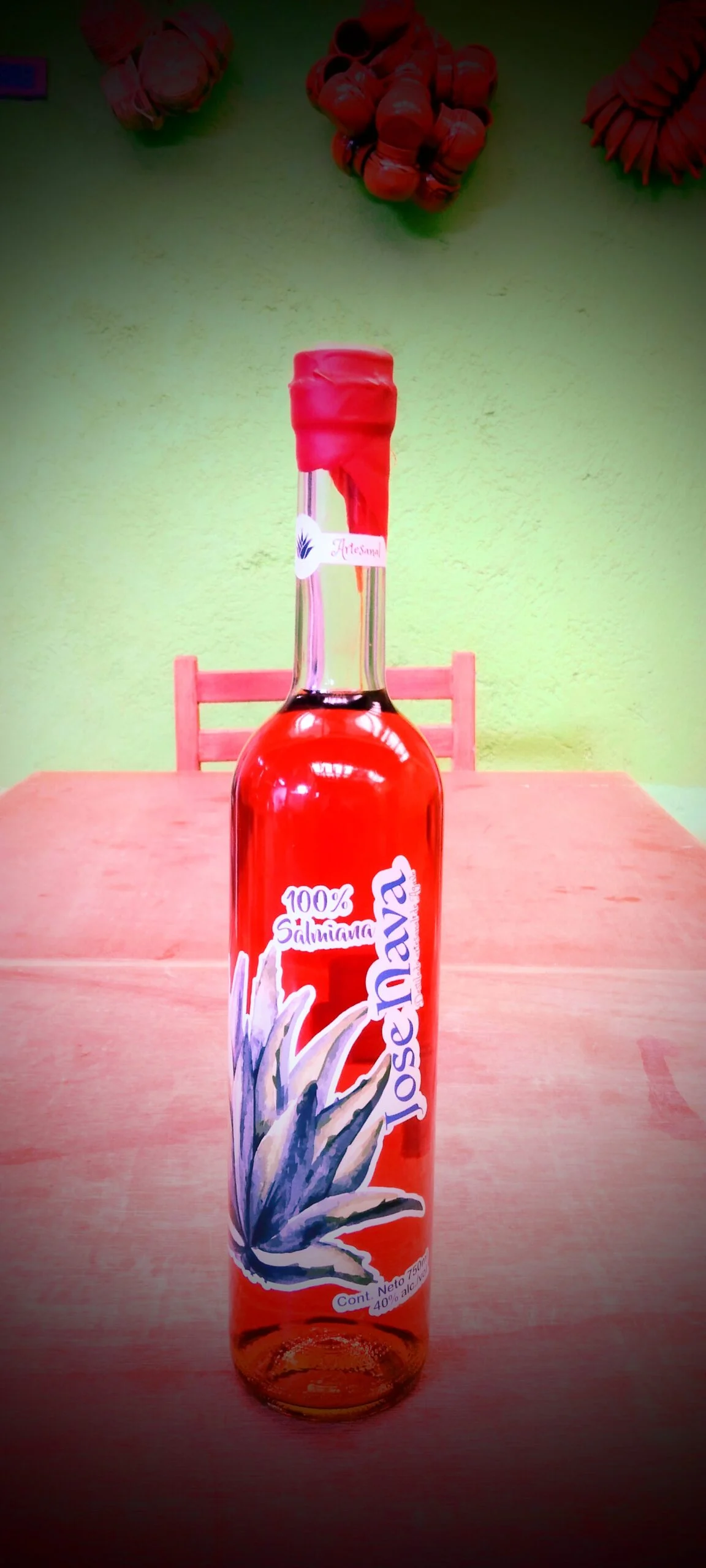 Agave para destilado artesanal Xoletongo Agave para destilado artesanal Xoletongo