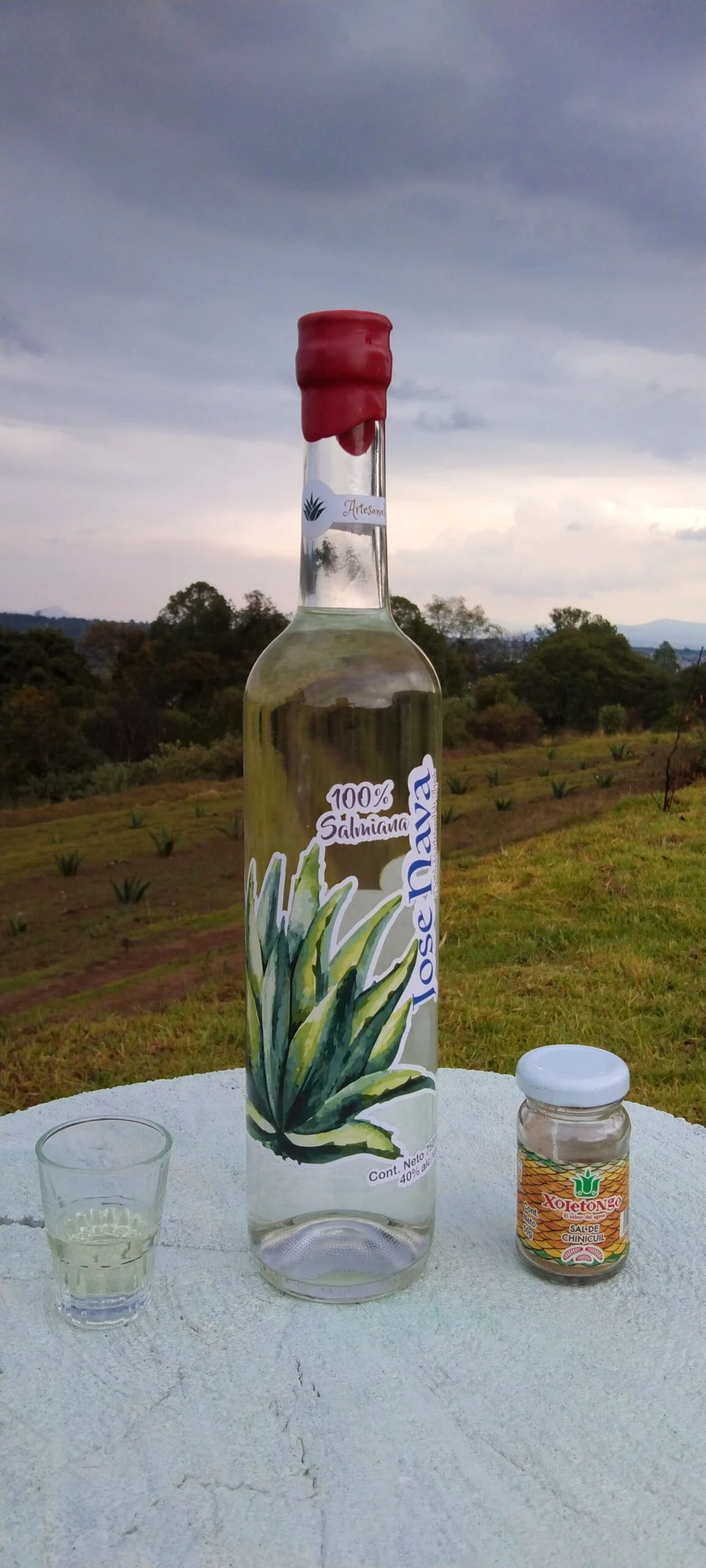 Botella de destilado de agave Xoletongo Botella de destilado de agave Xoletongo