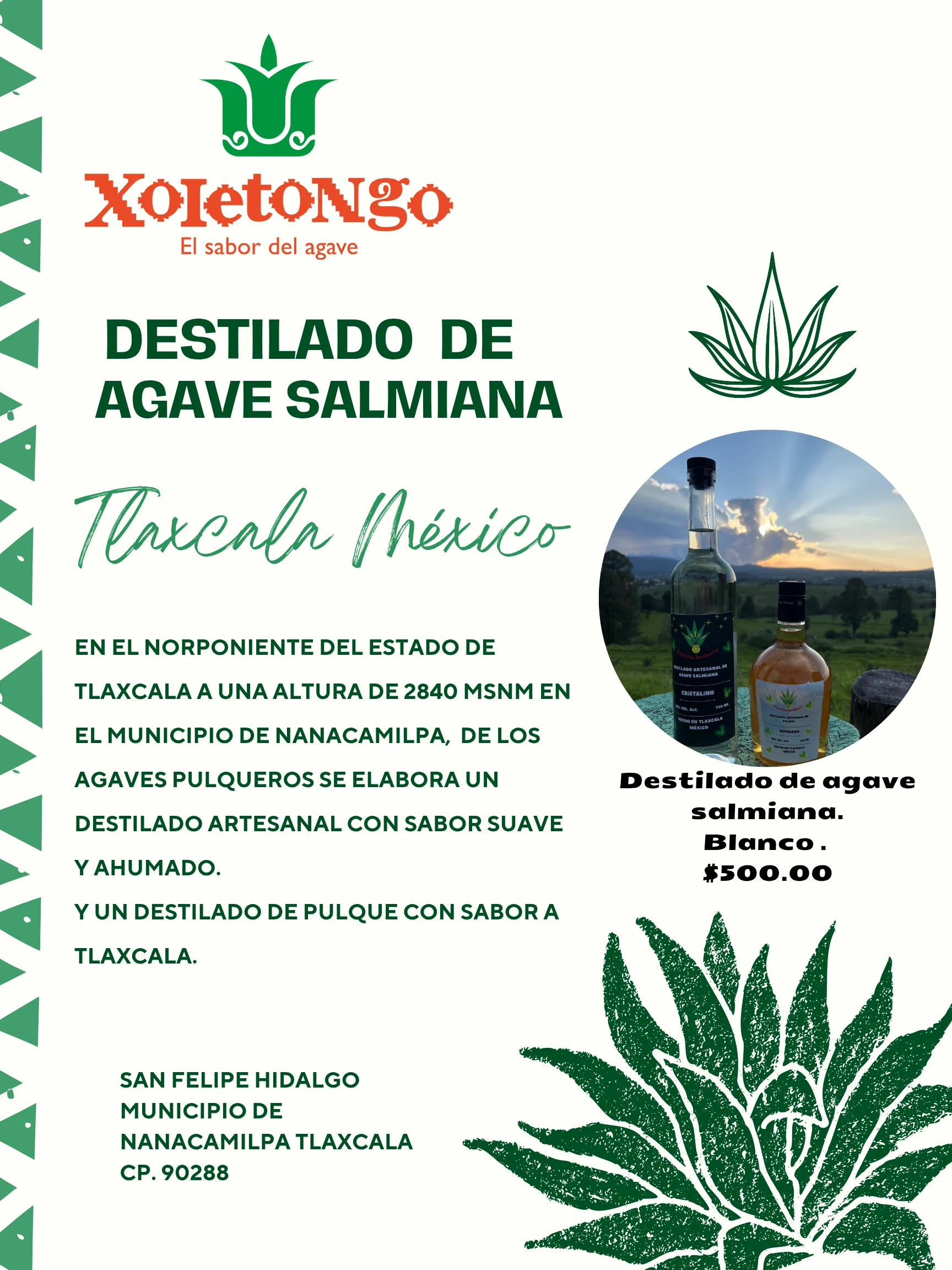 Cartel de destilado de agave salmiana Xoletongo Cartel de destilado de agave salmiana Xoletongo