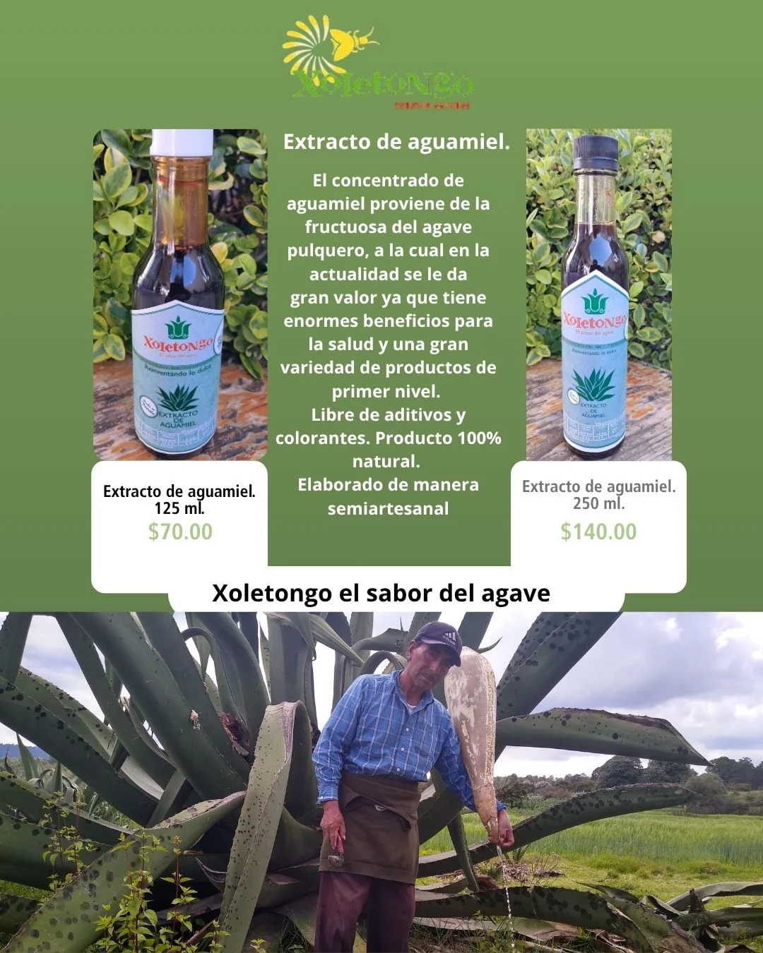 Concentrado de aguamiel artesanal Xoletongo Concentrado de aguamiel artesanal Xoletongo