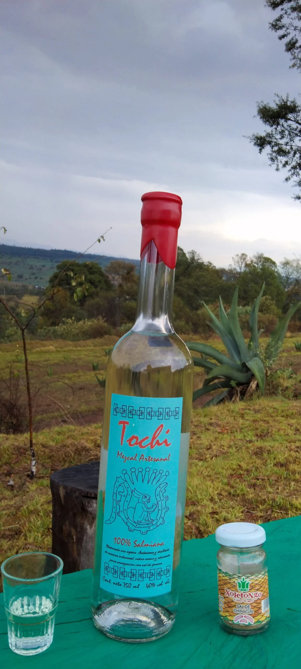 Destilado artesanal de agave Xoletongo Destilado artesanal de agave Xoletongo