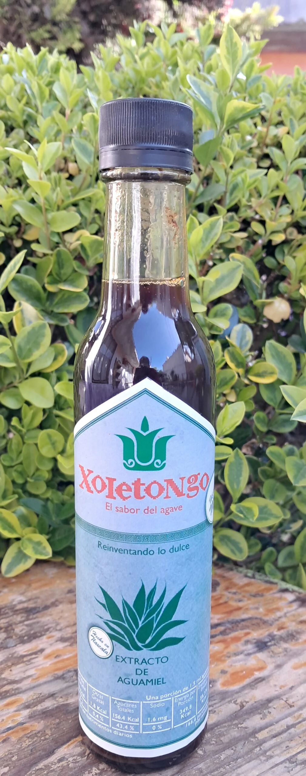 Extracto de aguamiel artesanal Xoletongo 125 ml Extracto de aguamiel artesanal Xoletongo 125 ml