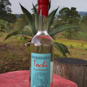 Presentación de destilado de agave Xoletongo
