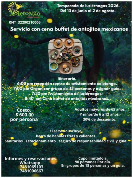 Luciérnagas y Cena Buffet bajo el Bosque