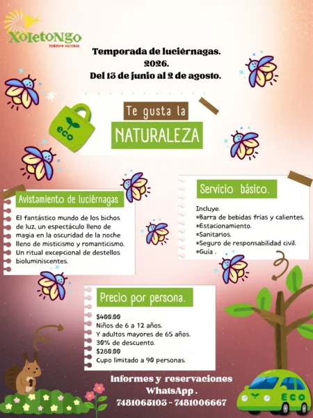 Noche de Luciérnagas | Servicio Básico