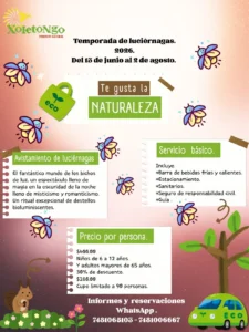 Noche de Luciérnagas | Servicio Básico